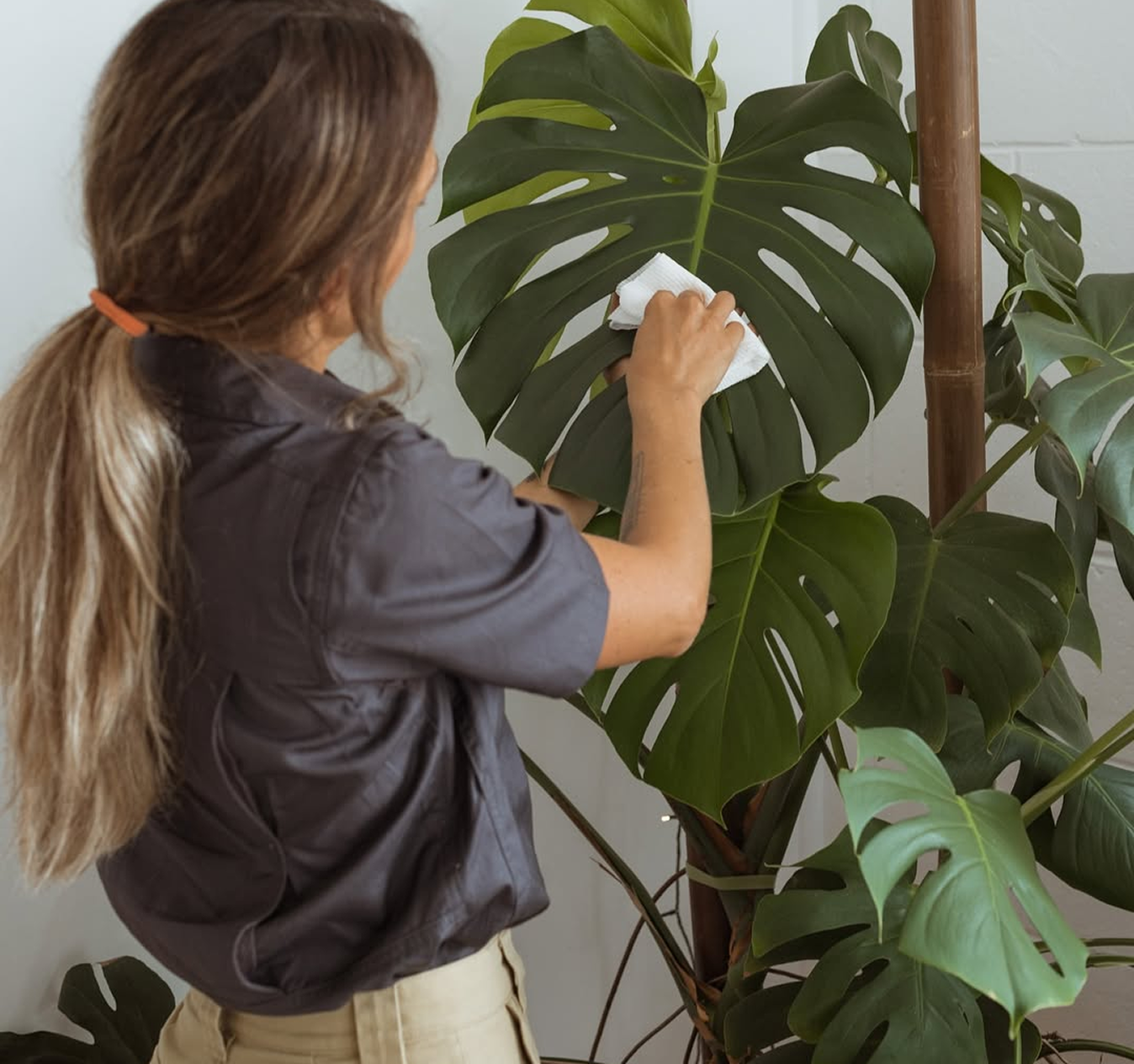 Consultations image03 1