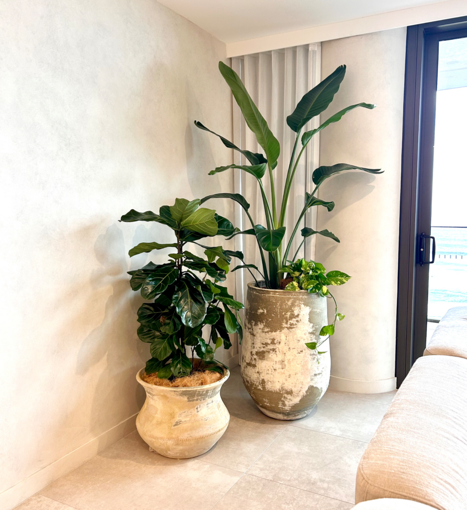 Services Private Homes 02