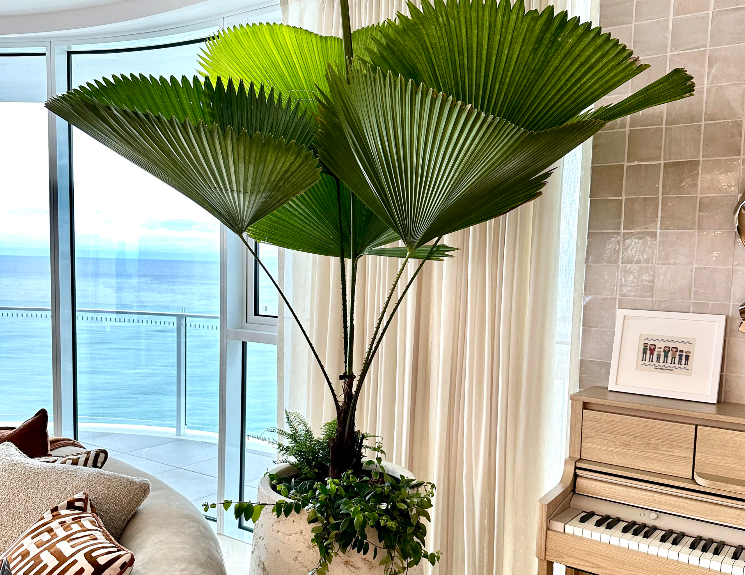 Consultations consultations 01 scaled