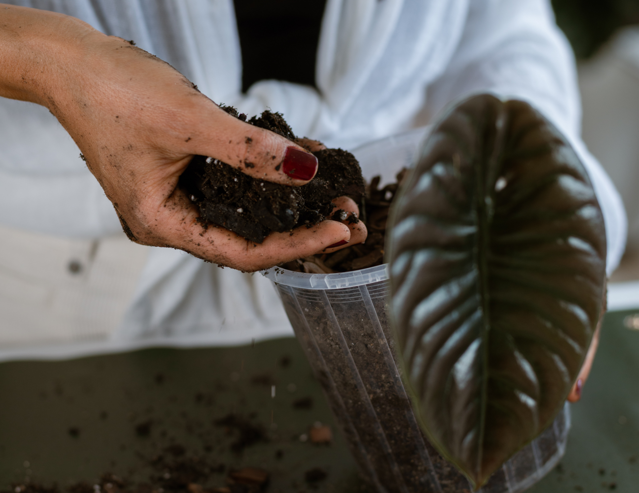 Consultations consultations 05 1 scaled